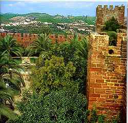La vegetaci�n de la fortaleza de Silves recuerda un escenario africano. 