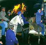 Fiestas de Jarandilla de la Vera. Extremadura ofrece no sólo 
importantes recursos naturales y patrimoniales. En sus pueblos, ciudades
 y aldeas, un buen número de fiestas singulares permiten comprender el 
carácter de sus gentes.