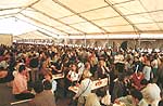 Fiesta del Marisco