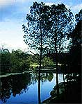 Sierra de And�jar
