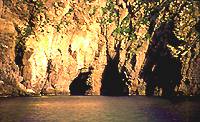 Cuevas al pie del acantilado de la isla de Isabel II, donde se refugiaban las focas monge. 