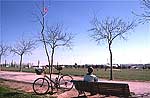 Parque Juan Carlos I. © www.revistaiberica.com