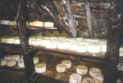 Cuevas para la curaci�n del queso pic�n.