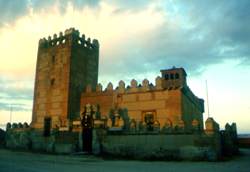 Castillo de Narros de Saldue�a