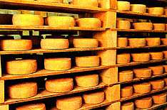 El queso se elabora con leche de pura raza manchega.