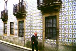 La rua Alexandre Herculano, junto con las de Jos� Falcao y Padre Ferrer, son las calles en donde se encuentran las mejores muestras de azulejer�a de Ovar, aunque no es dif�cil hallar muestras por cualquier punto de la ciudad. 