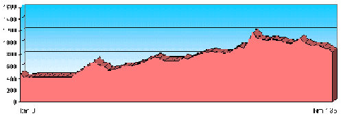 Perfil de la ruta