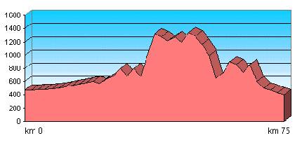 Perfil de la ruta
