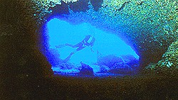 Las cuevas más conocidas son la Cueva del Lago, la de la Herradura y la de la Virgen, todas ellas de una espectacular belleza y al alcance de cualquier buceador.