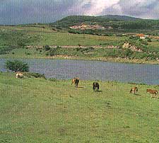 reinosa7.jpg (10334 bytes)
