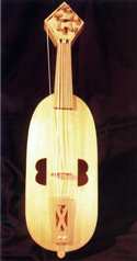 Viola Oval. ©A.M. Paulino Pérez