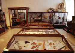Fondos Museográficos. © A.M. Paulino Pérez.