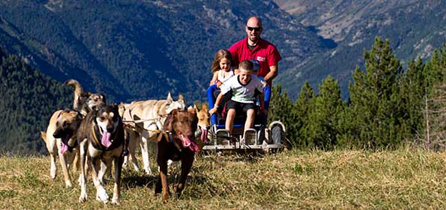 Andorra trineos con perros