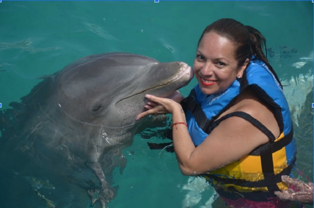 Conocer delfines