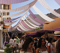 Fiestas de la lavanda en Brihuega